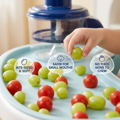 Fruits and Vegetable Peeler